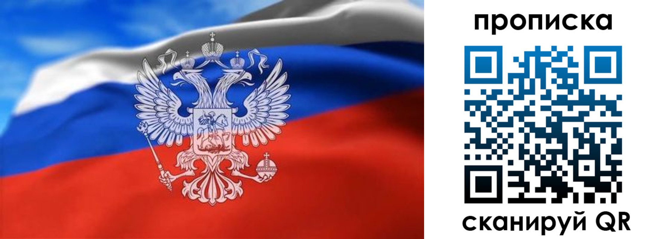 временная регистрация гарантия в Шатуре
